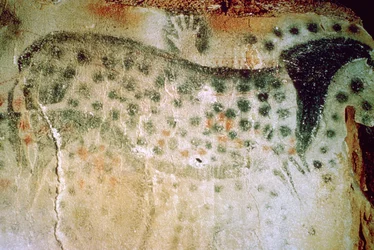 フランスの旧石器時代の馬と人間の手の洞窟壁画