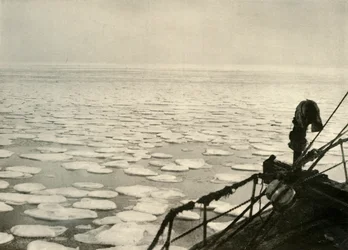 ロス海のパンケーキアイス、1908年、1909年。