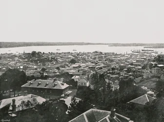 1895年、丘、ニュージーランド、オークランドからのパノラマビュー。