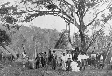 パラグアイのお茶会、パラグアイ、1911