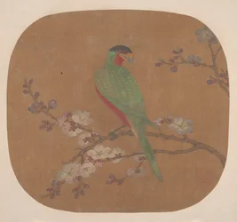 開花木の枝のオウム。