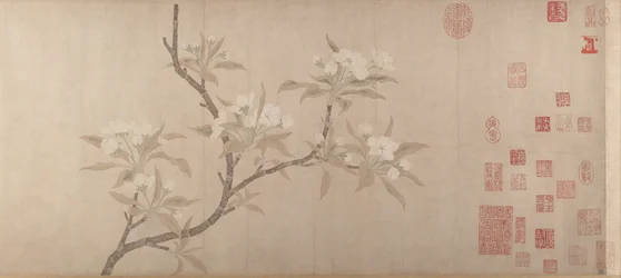 梨の花、ca。 1280。