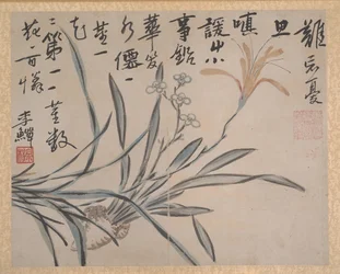 植物と野菜、1740 年の日付。