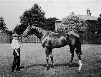 ポーラースター、1911