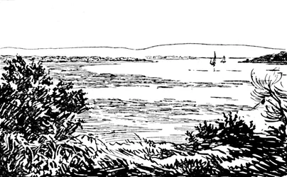 プールハーバー、1929
