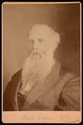 ヘンリー・コッピーの肖像1821-1895年、1875年。