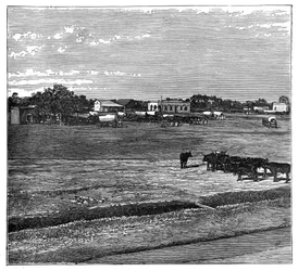 Potchefstroom、Transvaal、南アフリカ、c1890