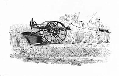 ディーンズトンのジェームス・スミスが発明した刈取機、1816、1904