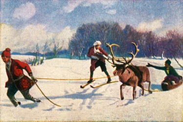スウェーデンでのトナカイそり乗り、c1928。