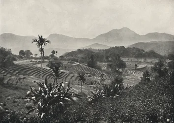 1926年に係留されたテラセンのトラベルフィールド
