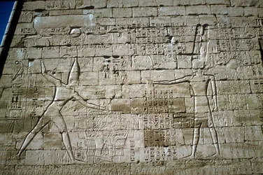 敵を襲うラムセス 3 世のレリーフ、ラムセス 3 世の霊安寺、メディネト ハブ、紀元前 1200 年頃