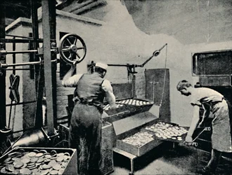 オーブンからビスケットを取り除く、c1917