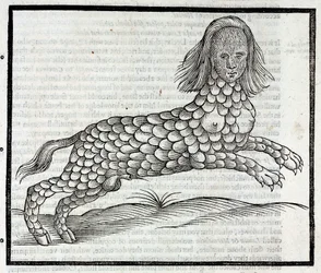 「エドワード・トプセルが1607年に発表した「四足の獣の歴史」のタイヤ付きグラヴュール。