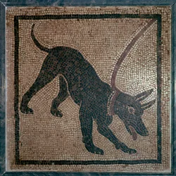 犬のローマ時代のモザイク、1 世紀