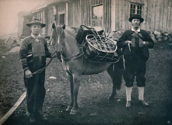 パック馬とセータースダーレンハイランダーズ、1914年。