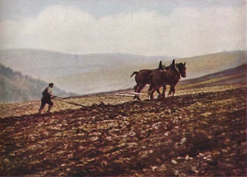 スコットランド、c1930s