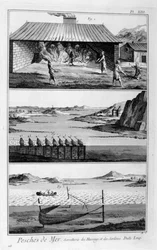 海釣り、ニシン、イワシ、1751-1777