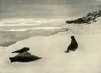 Ice-Edgeのシール、c1908、1909