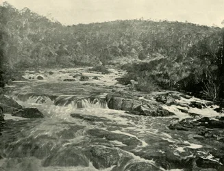 サウスエスク川の第2盆地、1901年。