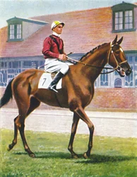 セニョール、ジョッキー：J.クラウチ、1939