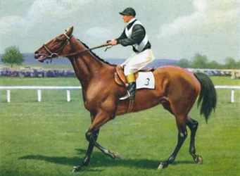 ハーフリート、ジョッキー：R.ペリーマン、1939