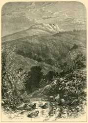 シープスター、1898年。