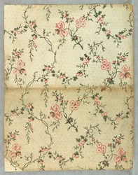 サイドウォール（アメリカ）、1850-1900年