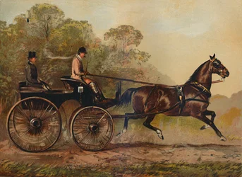 シングルハーネスフェートン馬コロンバイン。 Charles Baynes Esq。、1872年、c1879の所有物