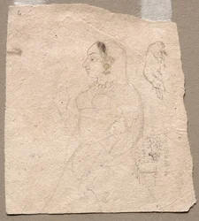 1700年代の象と他の動物を裏返しにした女性のスケッチ。
