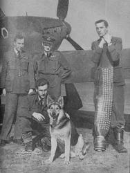 すぐに彼らは新しいスコアボード、1941年を必要とするでしょう。