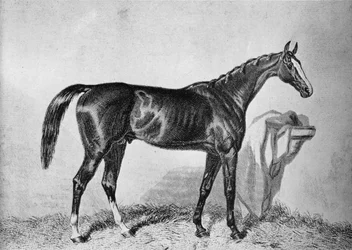 セントオールバンズ、19世紀、1911