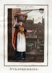 イチゴ、コヴェントガーデン、ロンドン、1805