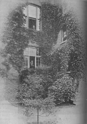 パインズの夏、c1909、1934