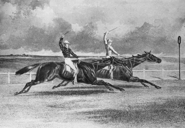 サープリスとカネゾウ、1845-1871、1911
