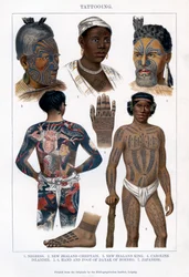 入れ墨、1800-1900