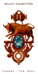 牡牛座、ザ・ブル、1923