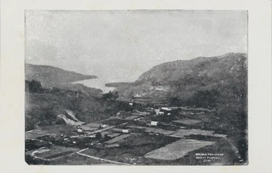 タラウェラの噴火前のワイロア、1923年。