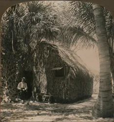 ココナッツグローブ、フロリダ州、アメリカ合衆国、c1900のわらぶき屋根のコテージ
