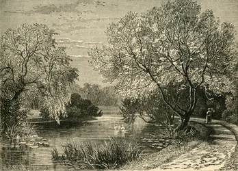 植物園、リージェンツパーク、c1876。