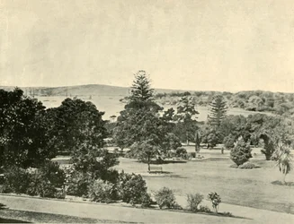 シドニー植物園、1901年。