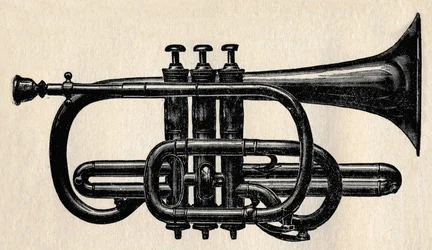 コルネット、1910年。