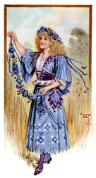 コーンフラワー、1899