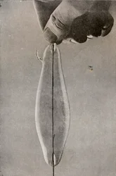 最初の白熱電球、c1916