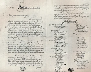 フィッツウィリアムのオリーブブランチ請願のコピー、1775