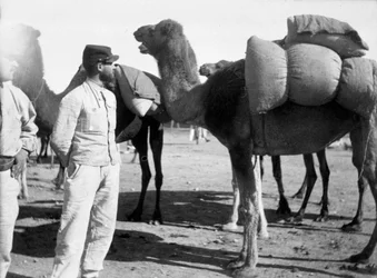 1911年のモロッコ、ブデニブの操縦に関するフランス外人部隊