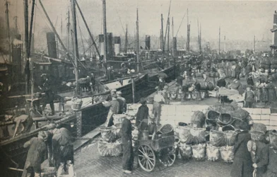 本格的なニシンの季節、1937