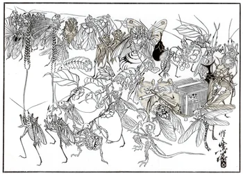 昆虫ダイミオコルテジェ、1878年1886年