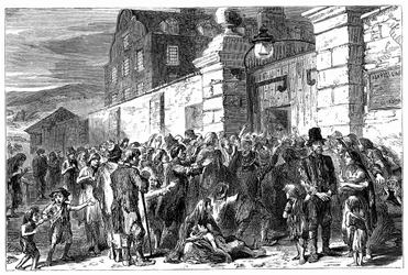 アイルランドの飢饉、1845-1849、1900