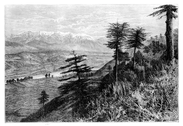 パイワル峠、1895