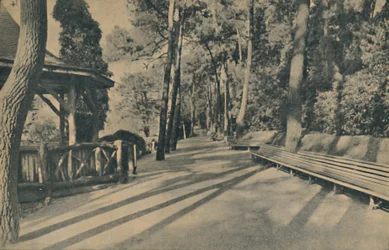 パインウォーク、1929